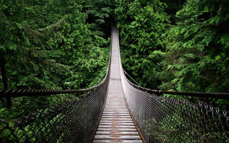 #5 amazing suspension bridges - book a tour through an agent for safety